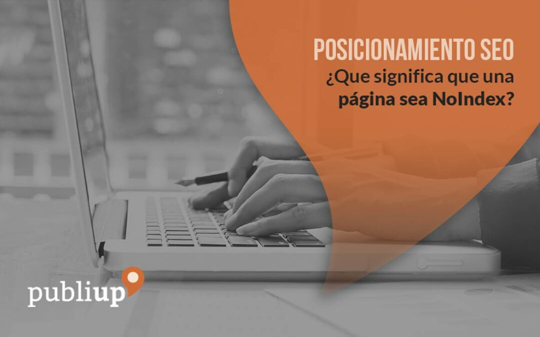 ¿Que significa que una página sea NoIndex?